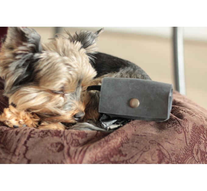 Leather Dog Poop Bag Dispenser - Stylish and Practical